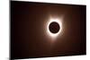 271 Eclipse 2017-Gordon Semmens-Mounted Giclee Print