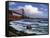 2731T0-Casay Anthony-Framed Stretched Canvas