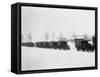 27th Motor Ambulance Convoy 1917-Robert Hunt-Framed Stretched Canvas