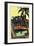 28 Foot Speedster-Edward A. Wilson-Framed Art Print