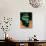 2860-Carat Carved Colombian Emerald-null-Stretched Canvas displayed on a wall