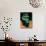 2860-Carat Carved Colombian Emerald-null-Mounted Photographic Print displayed on a wall