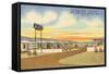 29 Palms Civic Center Vintage Motel-null-Framed Stretched Canvas