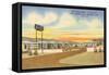 29 Palms Civic Center Vintage Motel-null-Framed Stretched Canvas