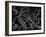 2-Pierre Henri Matisse-Framed Giclee Print