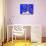 2COF-Pierre Henri Matisse-Stretched Canvas displayed on a wall