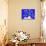 2COF-Pierre Henri Matisse-Giclee Print displayed on a wall