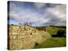 2nd Century Roman Wall, Hadrian's Wall, Northumberland, England-Walter Bibikow-Stretched Canvas