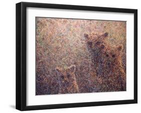 3 Bears-James W. Johnson-Framed Giclee Print