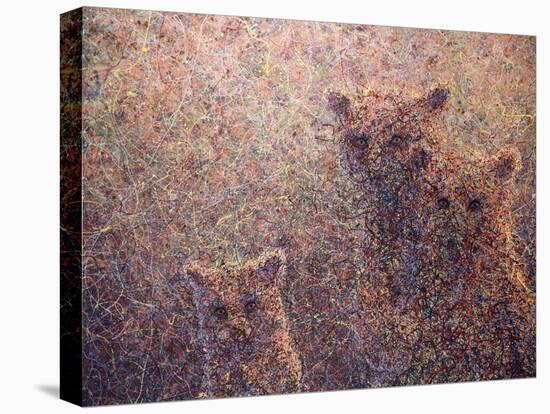 3 Bears-James W. Johnson-Stretched Canvas