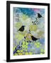 3 Birds Asian Nights-Bee Sturgis-Framed Art Print