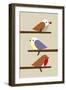 3 Birds-Dicky Bird-Framed Premium Giclee Print