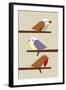 3 Birds-Dicky Bird-Framed Giclee Print