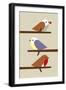 3 Birds-Dicky Bird-Framed Giclee Print