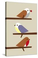 3 Birds-Dicky Bird-Stretched Canvas
