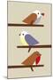 3 Birds-Dicky Bird-Mounted Premium Giclee Print