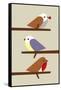 3 Birds-Dicky Bird-Framed Stretched Canvas