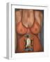 3 Boobies-Leah Saulnier-Framed Giclee Print