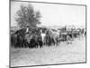 3 Cowboys Roping Horses Photograph - South Dakota-Lantern Press-Mounted Art Print