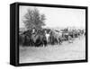 3 Cowboys Roping Horses Photograph - South Dakota-Lantern Press-Framed Stretched Canvas
