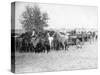 3 Cowboys Roping Horses Photograph - South Dakota-Lantern Press-Stretched Canvas