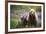 3 Cubs Stand Next To Their Mother Startled By River Otter Near The Coast Of Lake Clark NP In Alaska-Jay Goodrich-Framed Photographic Print