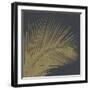 3 D Illustration Golden Palm Leaves. Abstract Black Relief Background with Gold Leaf with a Volumin-Olena Naryzhniak-Framed Art Print