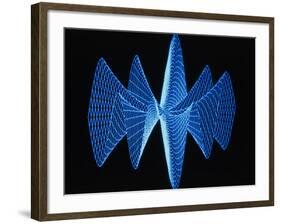 3-D Plot of a Complex Math Function-PASIEKA-Framed Photographic Print