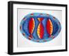 3 Fish on a Plate, 2004-Julie Nicholls-Framed Giclee Print