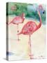 3 Flamingos-sylvia pimental-Stretched Canvas