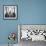 3 Gondolas-Moises Levy-Framed Photographic Print displayed on a wall