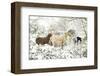 3 Horses & Snow Covered Trees-null-Framed Art Print