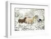 3 Horses & Snow Covered Trees-null-Framed Art Print