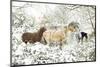 3 Horses & Snow Covered Trees-null-Mounted Art Print