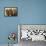 3 Horses-Kevin Dodds-Framed Stretched Canvas displayed on a wall