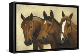 3 Horses-Kevin Dodds-Framed Stretched Canvas