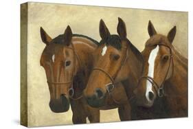 3 Horses-Kevin Dodds-Stretched Canvas