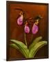 3 Ladyslippers with Hemlock-null-Framed Premium Giclee Print