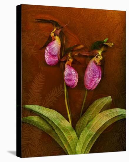 3 Ladyslippers with Hemlock-null-Stretched Canvas