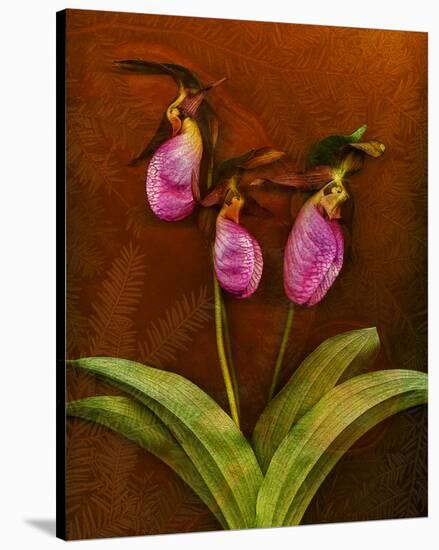 3 Ladyslippers with Hemlock-null-Stretched Canvas