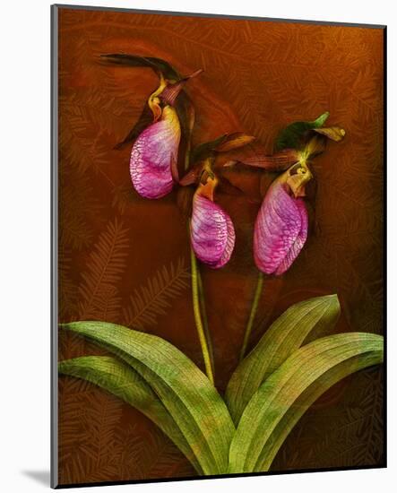 3 Ladyslippers with Hemlock-null-Mounted Art Print