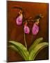 3 Ladyslippers with Hemlock-null-Mounted Art Print