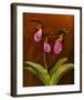 3 Ladyslippers with Hemlock-null-Framed Art Print
