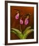 3 Ladyslippers with Hemlock-null-Framed Art Print