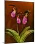 3 Ladyslippers with Hemlock-null-Mounted Art Print