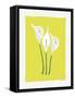 3 Lilies-FS Studio-Framed Stretched Canvas