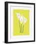 3 Lilies-FS Studio-Framed Giclee Print