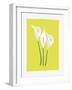 3 Lilies-FS Studio-Framed Giclee Print