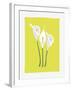 3 Lilies-FS Studio-Framed Giclee Print