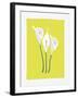 3 Lilies-FS Studio-Framed Giclee Print